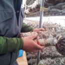 백여농장 이미지