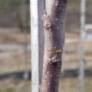 삿갓농장(2) 이미지