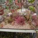 거기농장 이미지