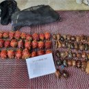 동해-단속-22 이미지