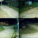 신호축사 이미지