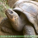 지금당 이미지