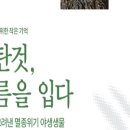진관-051 네이버블로그