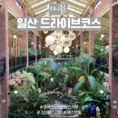 통계청 맞은 편 횡단보도 | 일산 드라이브코스 포레스트 아웃팅스 포함 데이트코스 3