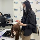 이미용헤어(기초) | 개금헤어학원 국가자격증이란
