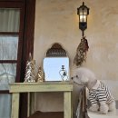 보늬 | <공주 애견동반 숙소> 감성 독채 한옥 펜션 스테이보늬밤 1박 후기