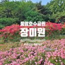 세븐일레븐 광주풍암호수점 | 광주가볼만한곳 풍암호수공원 장미정원, 주차장과 여행코스 추천