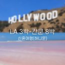 W11. 신혼여행(허니문)_LA 3박-칸쿤 8박 항공권 결제와 일정