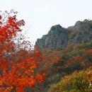 내장사입구 이미지