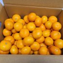 정진수농장 이미지