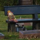 개성시대 이미지