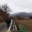 화산1리경로당 Daum카페
