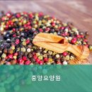 중앙요양원 | 거동이 불편하신 부모님 계신가요? 그렇다면 대덕구 요양원 추천 중앙요양원 최고의 서비스 보장