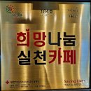 227 | [진천카페] 정원이 이쁜 충북혁신도시카페 『더힐227』