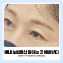 눈썹이야기 - 광산구 | 별내 눈썹문신 잘하는 곳 에버뷰티에서 어머님 눈썹문신 받은 후기