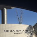 강릉굿모닝 | 강릉 신라 모노그램 호텔/ 찐 후기/ 강릉 맛집,강릉 카페 공유/서치 광인의 픽