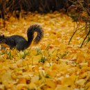 사계절집밥 이미지