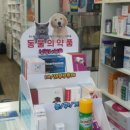 풍산온누리약국 이미지