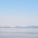 한주항공여행사 이미지