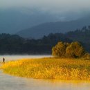 강변살자 이미지