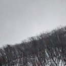 베르나차펜션 이미지