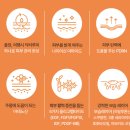 루미메디 | PDRN EGF 올인원크림 추천, 스킨케어 다이어트 성공한 닥터루미 솔직 후기