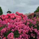 곡성-264 이미지