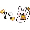 헬스프룻