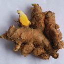 진도호시
