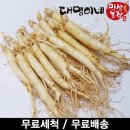 금산수삼영농조합법인