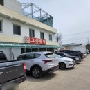 그린반점 이미지