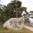 영신숲길2 이미지