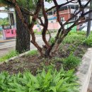 SK명품주유소 이미지