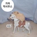 치프스포츠 트레이닝센터 이미지
