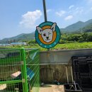 아이스홀릭 정관점