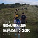 제주처럼 | 트랜스제주 Trans jeju by UTMB 20k 완주 후기