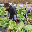 이혁농장 이미지