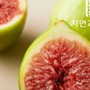 자연농수산 네이버블로그