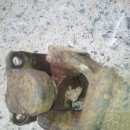 푸른카센타 이미지