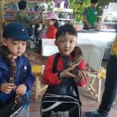 최우영 인성태권도장 이미지