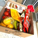 (주)이마트 평택점 | 평택 고덕 노브랜드 추천상품 총정리 | 신세계포인트 적립만 해도 매번 할인, 모르고 가면 손해예요