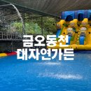 대자연가든 | [칠곡] 대구 구미 아이랑 물놀이 금오동천 계곡식당 추천 | 대자연가든 (평상예약, 수영장, 닭백숙 후기)
