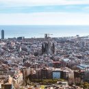 메이네A 이미지