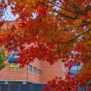 청계산수변공원 이미지