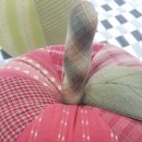 리빙휴데코