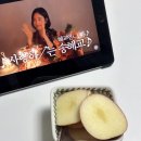 잠수교청과