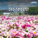 초리경로당 네이버블로그