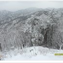 울진백양 이미지