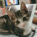 이선동물병원 이미지