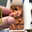 중문색달냉면 | 제주 중문 디저트 추천 맛집 고소함의 극치 대신땅콩빵 색달점 솔직 후 기